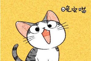 抖音早安喵午安喵晚安喵喵喵是什么歌?抖音早安喵午安喵晚安喵喵喵歌曲分享