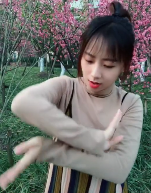 抖音離人愁手勢舞教程