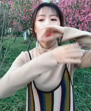 抖音離人愁手勢舞教程