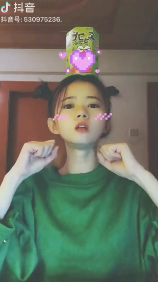 抖音少林英雄手勢舞怎么拍