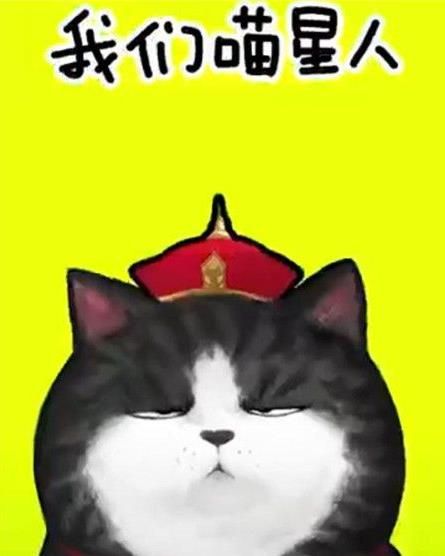 抖音我們喵星人是什么歌？抖音我們喵星人就是辣么拽歌詞分享