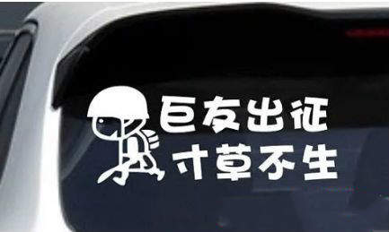 抖音春風(fēng)吹楊柳下一句是什么？抖友暗號(hào)春風(fēng)吹楊柳完整版介紹