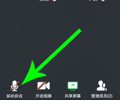 騰訊會議怎么靜音詳情