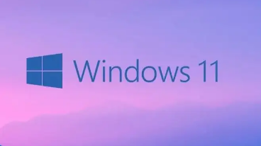 為什么Win11沙盒無法初始化