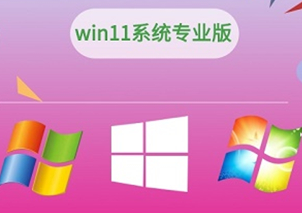 win11家庭版和專業(yè)版