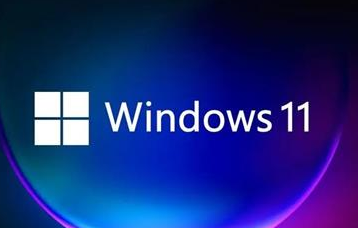 win11business和consumer版本區(qū)別