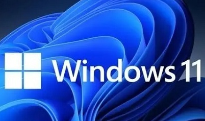 win11business和consumer版本區(qū)別