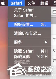 MAC系統(tǒng)Safari搜索欄無法搜索怎么解決?