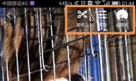 抖音發布作品詳細教程