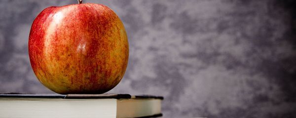 適合各種心情的句子  適合發(fā)朋友圈的句子