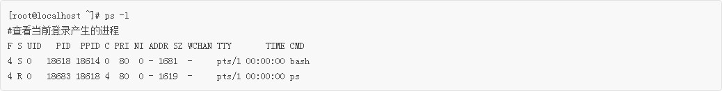 Linux新手入門:PS命令查看正在運行的進程