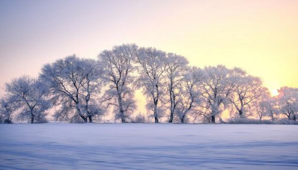 一夜入冬朋友圈說說 一夜入冬如何發朋友圈