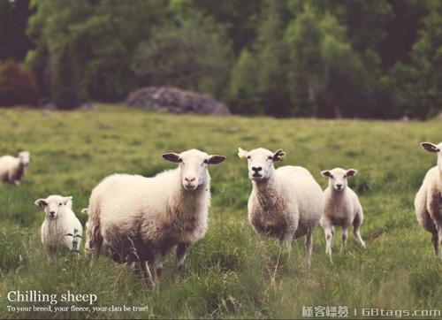 2014年最酷的30個JavaScript庫