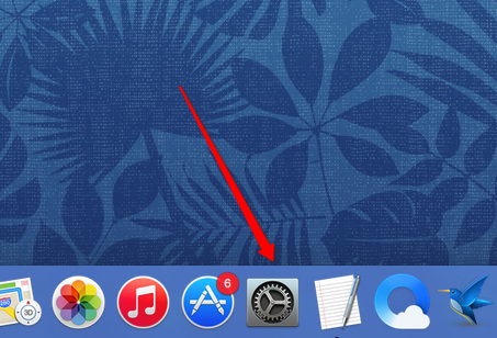 MacOS如何修改默認輸入法？MacOS設置默認輸入法的方法