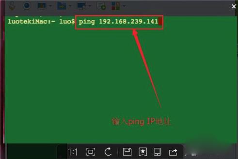 MacOS中如何使用ping命令？MacOS中ping命令的使用方法