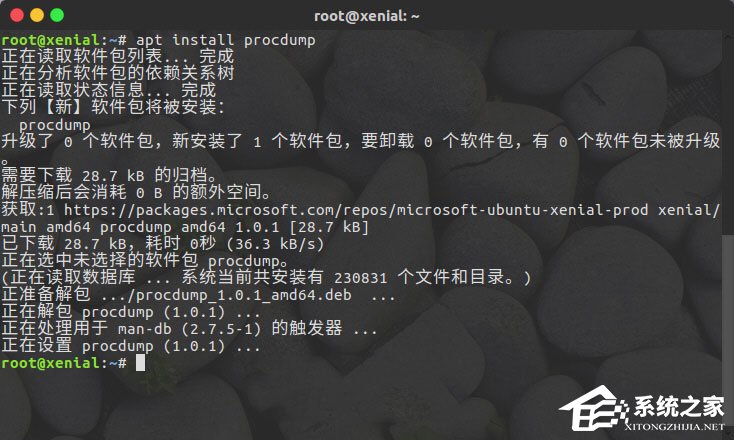 Linux系統如何安裝使用ProcDump for Linux?