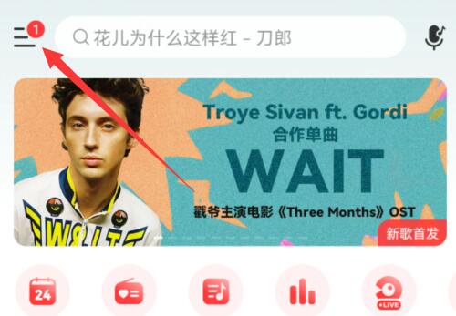 網(wǎng)易云音樂顯示歌詞在手機(jī)屏幕教程