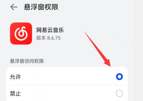 網(wǎng)易云音樂顯示歌詞在手機(jī)屏幕教程