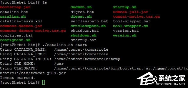 Linux系統如何查看和結束進程？