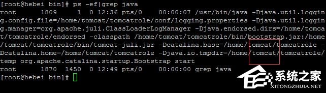 Linux系統如何查看和結束進程？