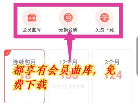 網易云音樂vip和黑膠vip區別是什么詳細介紹