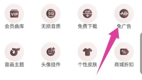 網易云音樂vip和黑膠vip區別是什么詳細介紹