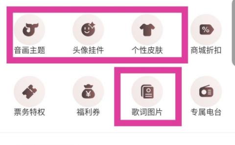 網易云音樂vip和黑膠vip區別是什么詳細介紹