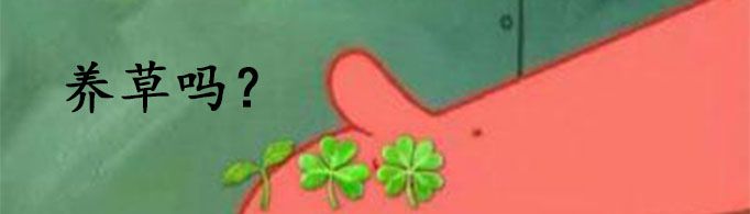 qq養草是什么？