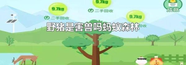 野豬是害獸嗎螞蟻森林