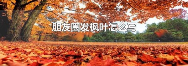 朋友圈發(fā)楓葉怎么寫(xiě)