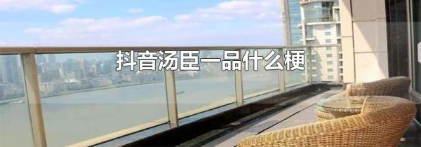 抖音湯臣一品什么梗