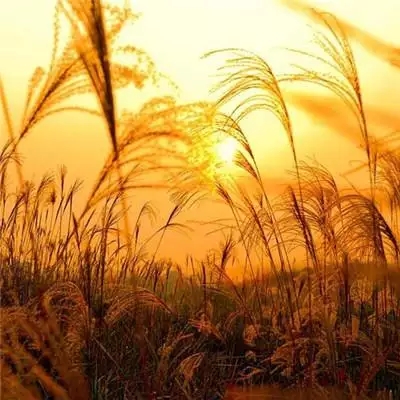 2022最新微信頭像新款大全