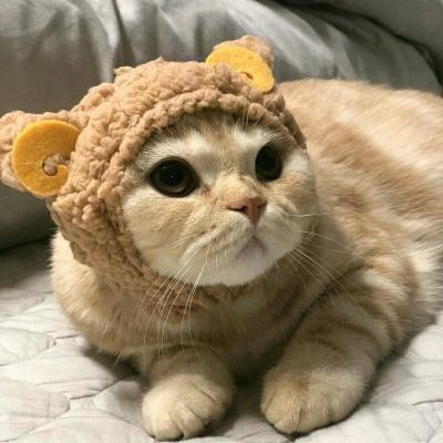 2022最新微信頭像新款大全