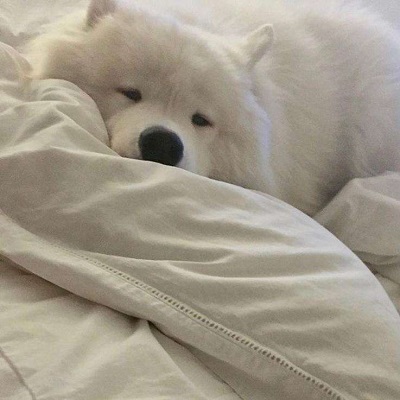 2022最新微信頭像新款大全