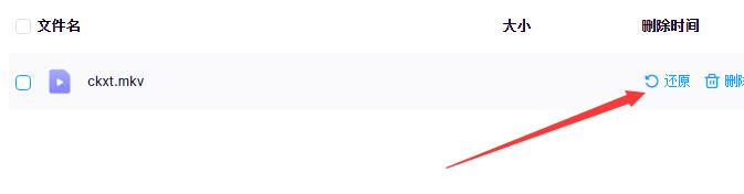 百度網(wǎng)盤(pán)刪除的文件怎么恢復(fù)