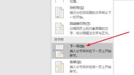word插入分節(jié)符方法