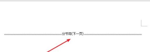 word插入分節(jié)符方法