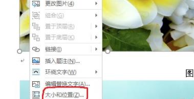 word圖片統一調整大小方法
