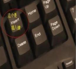 word文檔打字時會消掉后面字解決方法