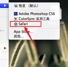 Mac系統查看gif圖片教程