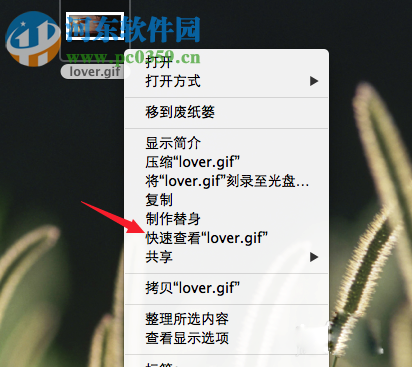 Mac系統查看gif圖片教程