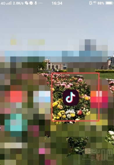 抖音APP查詢違規記錄的方法