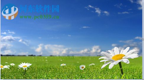 搜狗壁紙怎么刪除已下載的圖片