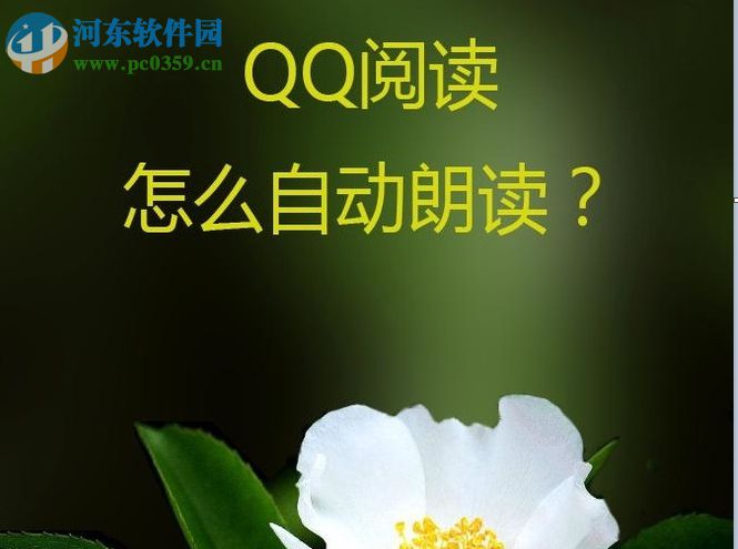 qq閱讀設(shè)置自動(dòng)朗讀功能的方法