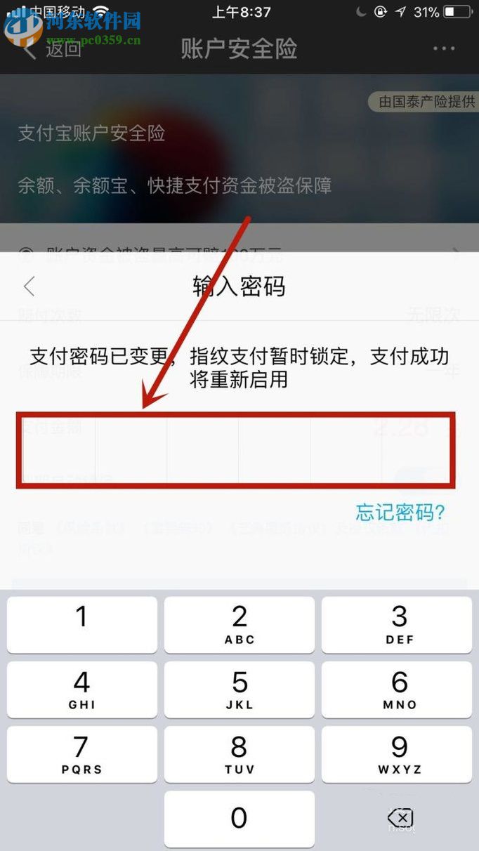 手機(jī)支付寶購買賬戶安全險的方法