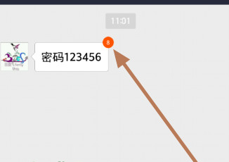 手機支付寶使用閱后即焚功能的方法