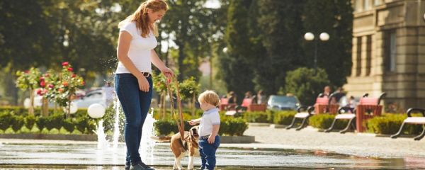 遛娃的朋友圈句子 遛娃的朋友圈怎么發
