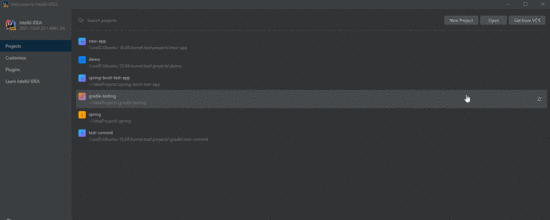 IntelliJ IDEA 2021.1 首個 Beta 版本發布