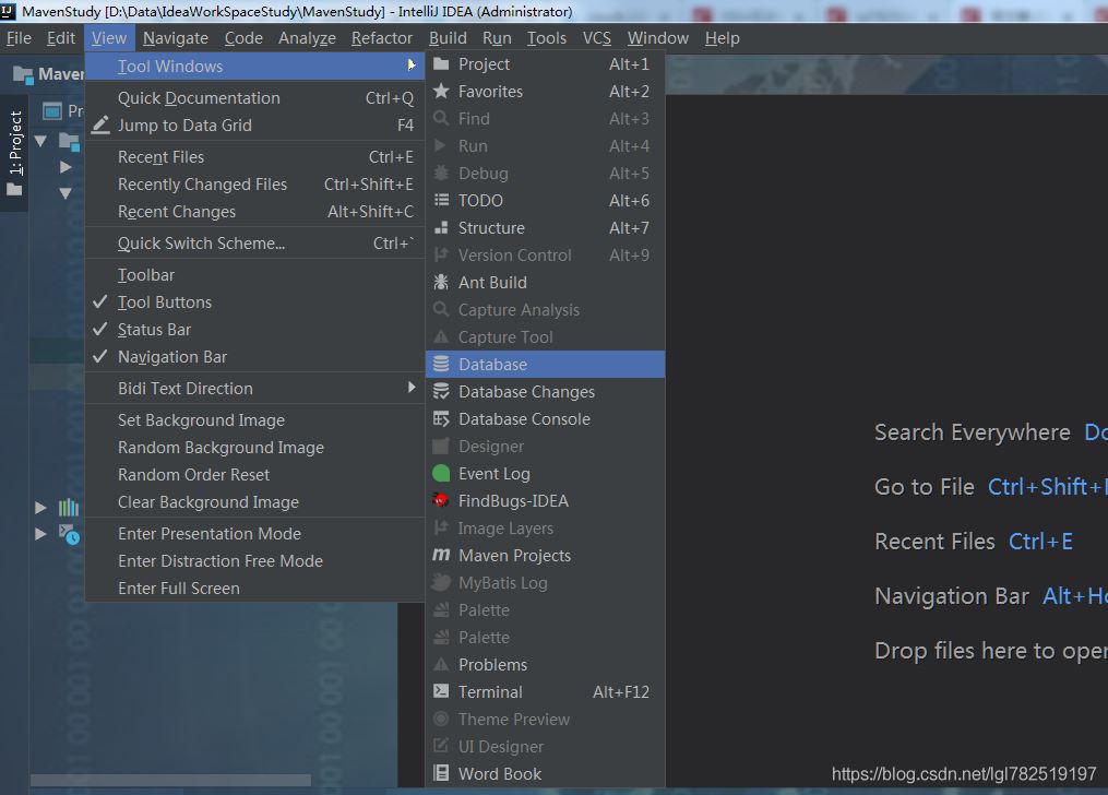 Idea連接數(shù)據(jù)庫并執(zhí)行SQL語句的方法示例