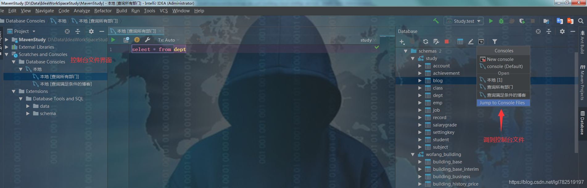 Idea連接數(shù)據(jù)庫并執(zhí)行SQL語句的方法示例
